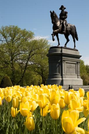 29. George Washington - 1